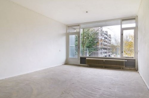 Foto 4 van Brammershoop