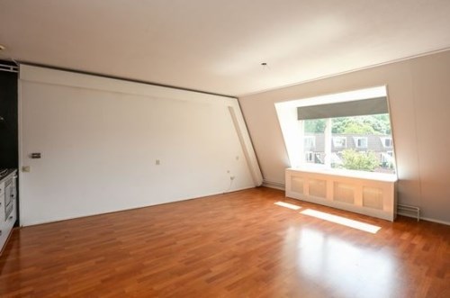 Foto 3 van Rodenrijselaan